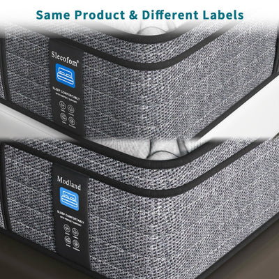 Modland 14 Inch Medium Hybrid Mattress, Euro Top - Fire-Safe CertiPUR-US Foams for Back Pain Relief, Twin/Full/Queen/King