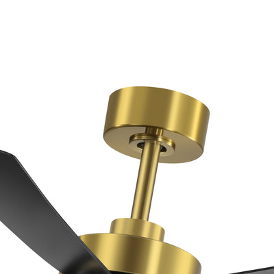 Breezary 65/52/42 5-Blade LED Ceiling Fan with Light Kit and Remote