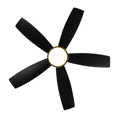 Breezary 65/52/42 5-Blade LED Ceiling Fan with Light Kit and Remote