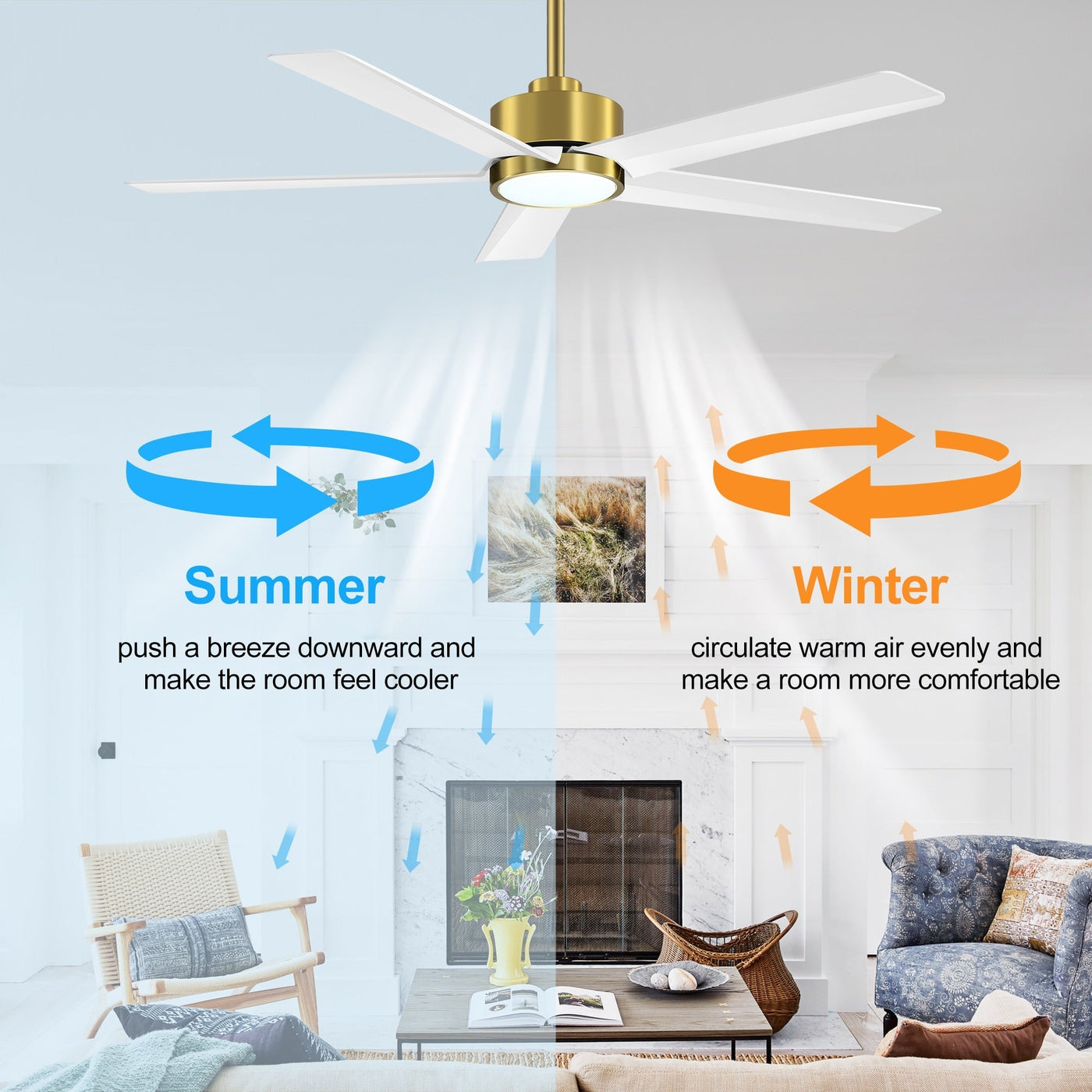 Breezary 65/52/42 5-Blade LED Ceiling Fan with Light Kit and Remote