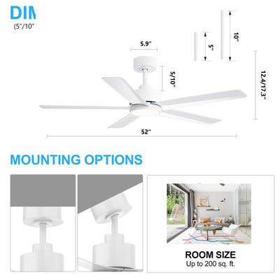 Breezary 65/52/42 5-Blade LED Ceiling Fan with Light Kit and Remote