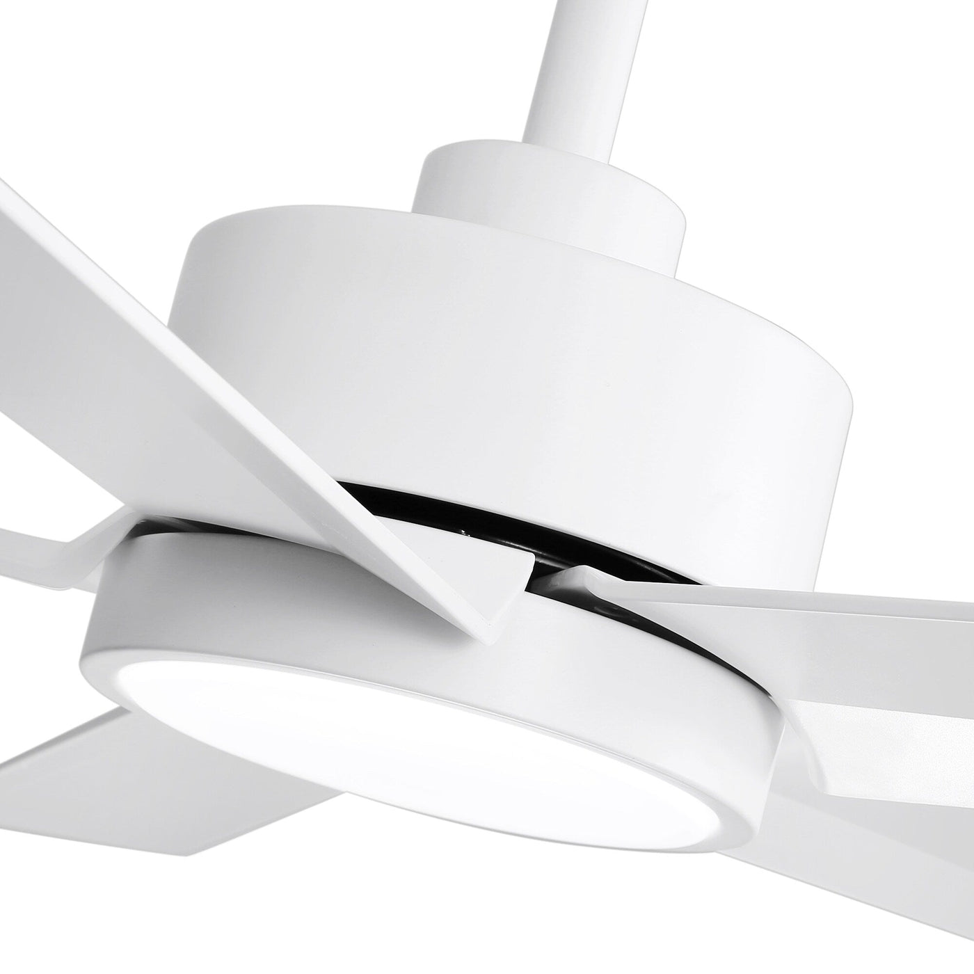 Breezary 65/52/42 5-Blade LED Ceiling Fan with Light Kit and Remote
