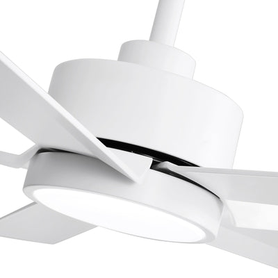 Breezary 65/52/42 5-Blade LED Ceiling Fan with Light Kit and Remote