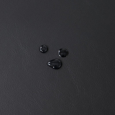 Entryway Shoe Bench Storage Bench Upholstered Bench