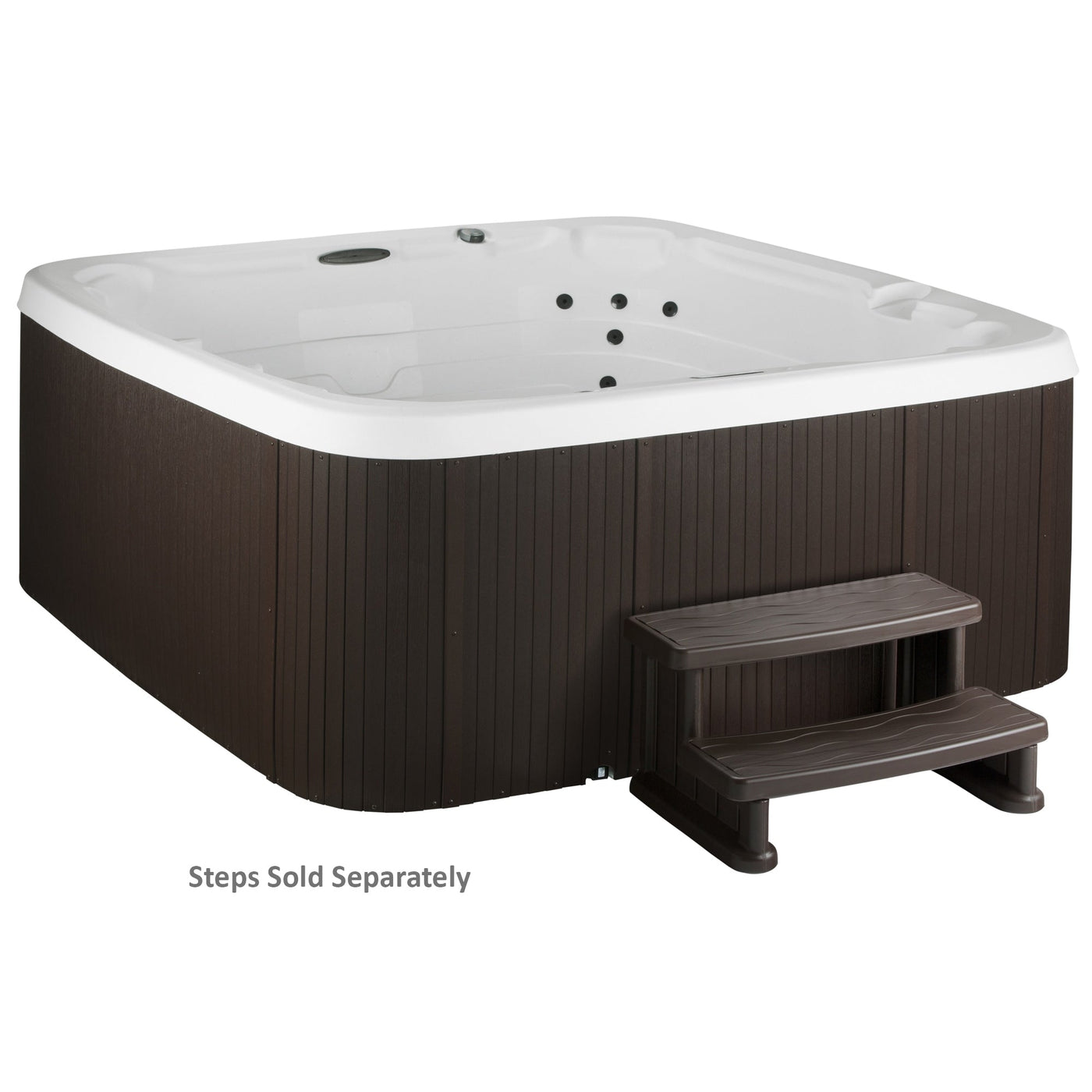 Lifesmart LS450DX 7-Person 22-Jet 110v Plug and Play Spa with Waterfall