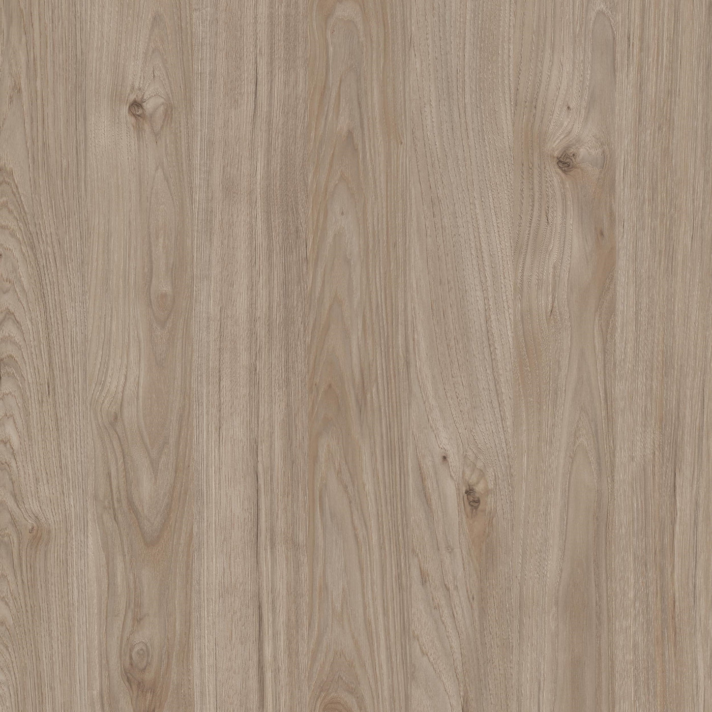 Porch & Den Zoe 6-drawer Double Dresser