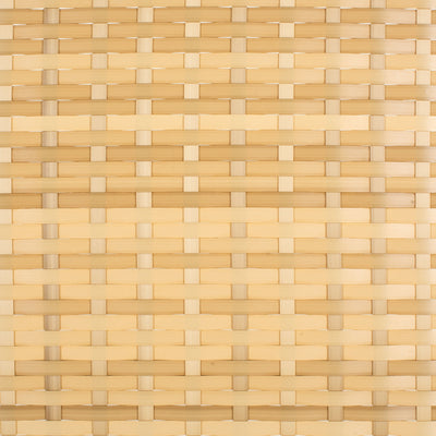 SAFAVIEH Outdoor Taniyah Wicker Daybed with Pillow & Cushions - 53W x 28D x 62H