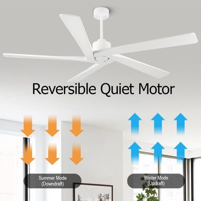 WINGBO 54 Inch DC Motor Indoor Ceiling Fan without Lights - N/A